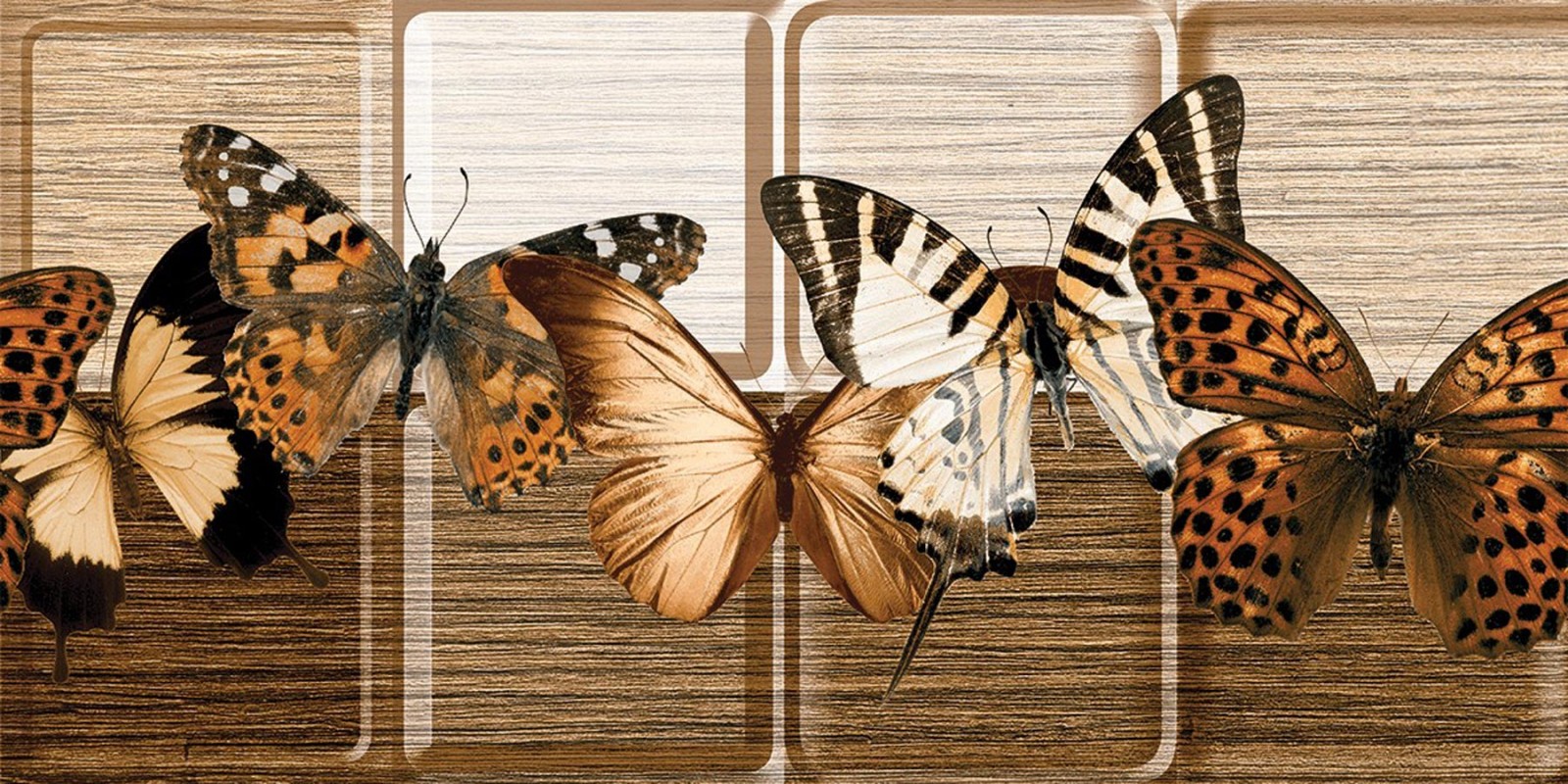 4545897045_762_width1600-1.jpg