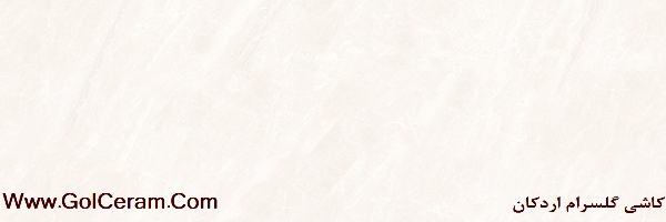 parinaz-light-org-1.jpg